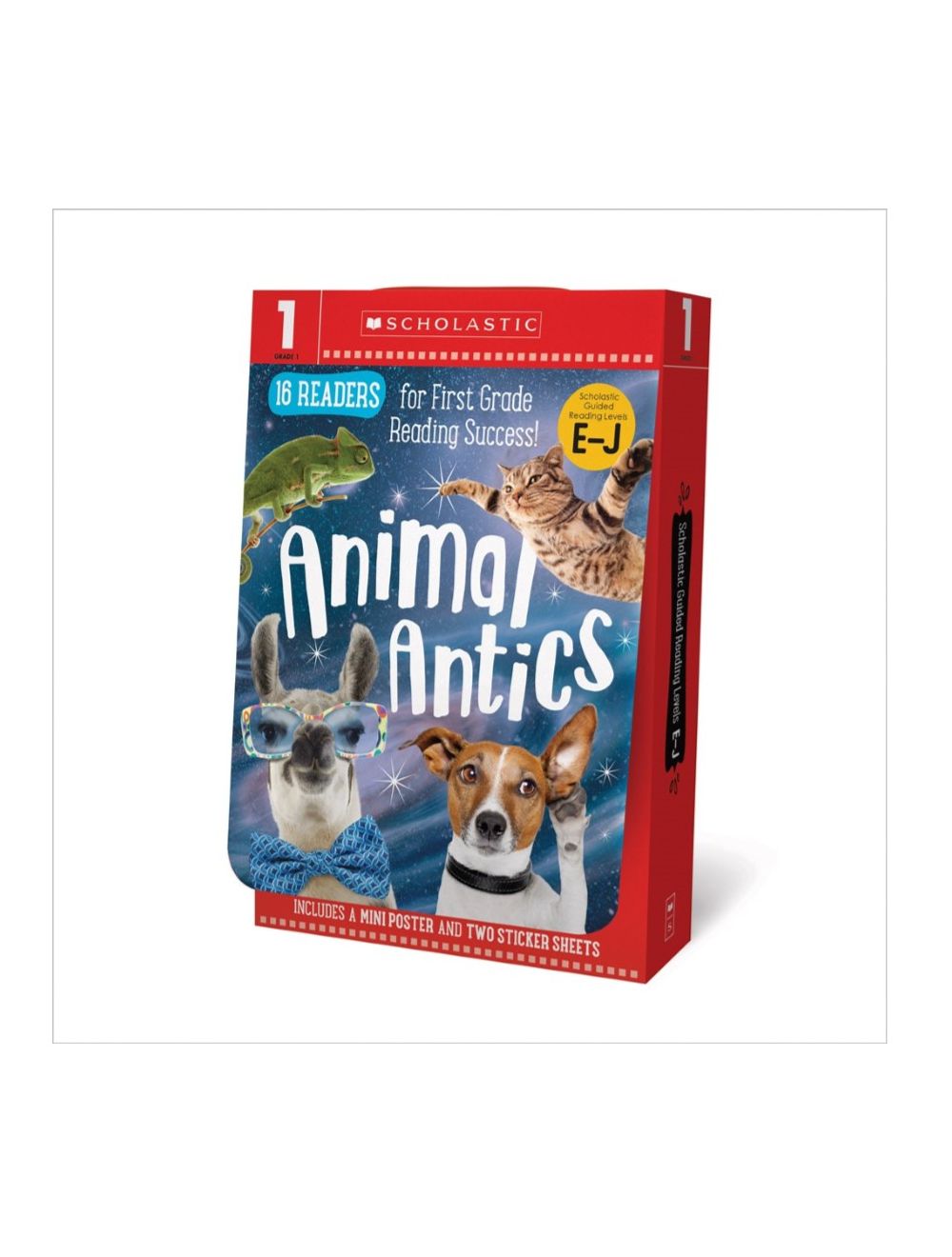 Animal Antics-First Grade, Levels E-J