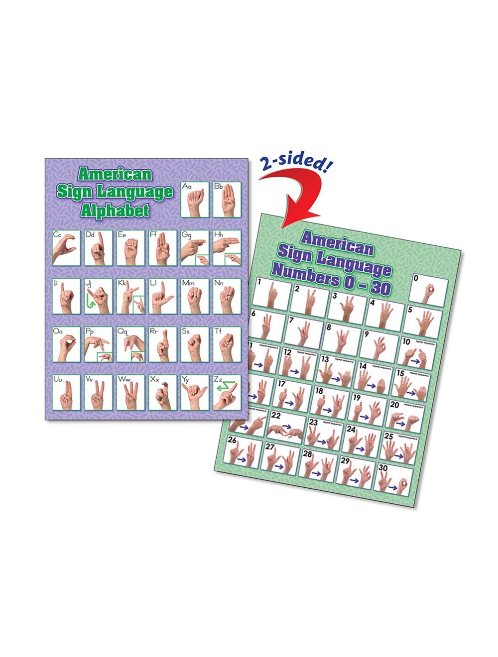 ASL Alphabet Bulletin Board American Sign Language Poster